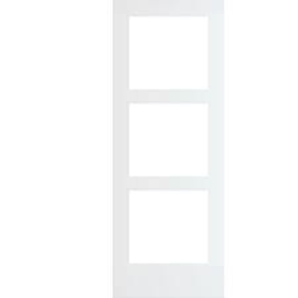 3 Panel Frosted Lite prehung interior door